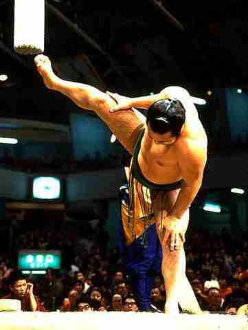 sumo sumofr