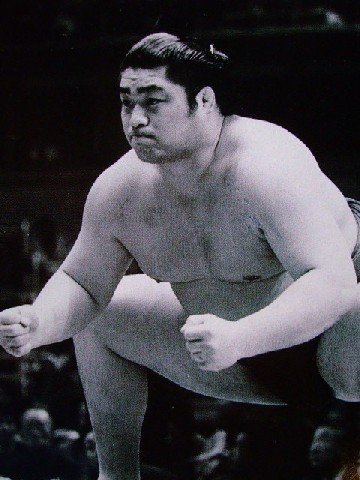 dairyu
